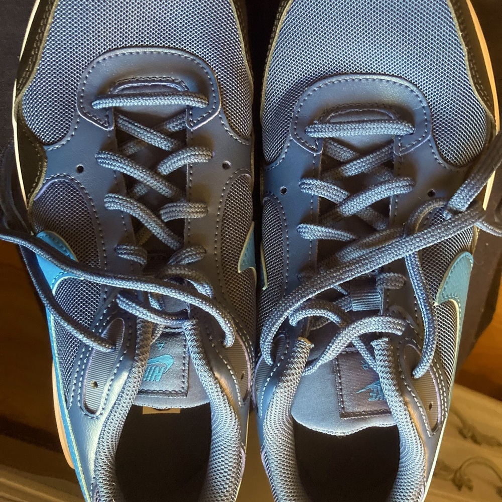 Blue Nike Shoes